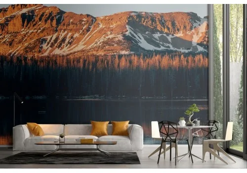 Mountain forest trees landscape wallpaper