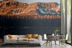 Forest in mountain trees landscape wallpaper