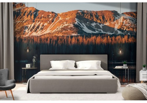 Forest in mountain trees landscape wallpaper 2