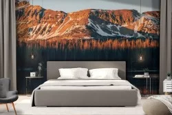 Carta da Parati foresta in montagna alberi paesaggio