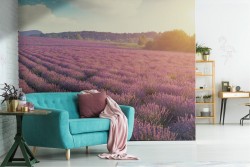 Carta da Parati colline in fiore paesaggio natura