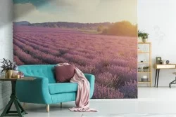 Carta da Parati colline in fiore paesaggio natura