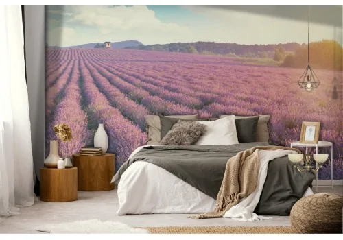 Wallpaper blooming hills landscape nature 2