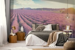 Carta da Parati colline in fiore paesaggio natura