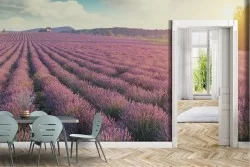 Carta da Parati Foglie e Fiori Prati e colline