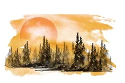 Carta da Parati Design e Stili Paesaggi e Natura Dipinti e Acquerelli Foreste e Alberi