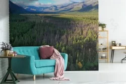 Carta da Parati paesaggio foresta bosco alberi natura