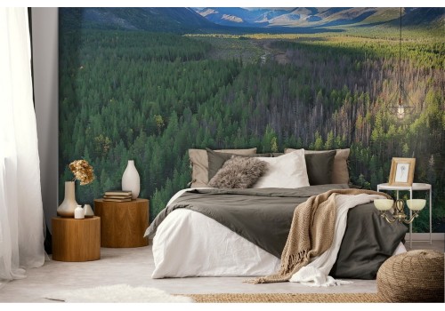 Wallpaper landscape forest woods trees nature 2