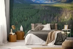 Wallpaper landscape forest woods trees nature