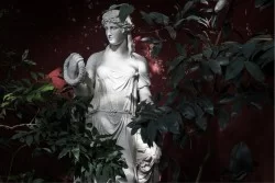 Carta da Parati Design e Stili Flora e Fauna Moderna Natura Foglie