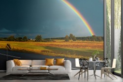 Carta da Parati strada in campagna con arcobaleno