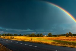 Carta da Parati Paesaggi e Natura Prati e colline