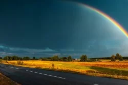 Carta da Parati Paesaggi e Natura Prati e colline