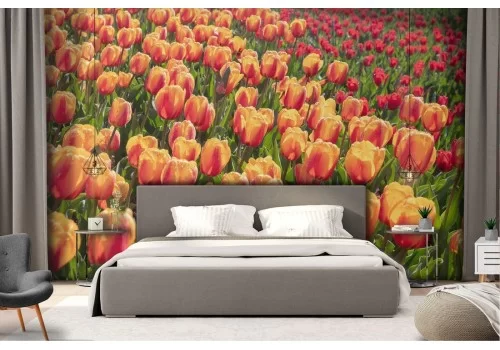 Carta da Parati tulipani arancione campo fiori natura 2