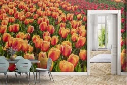 Carta da Parati Foglie e Fiori Giardini Prati e colline