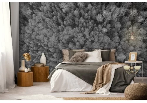 Carta da Parati alberi foresta grigio fotografia 2