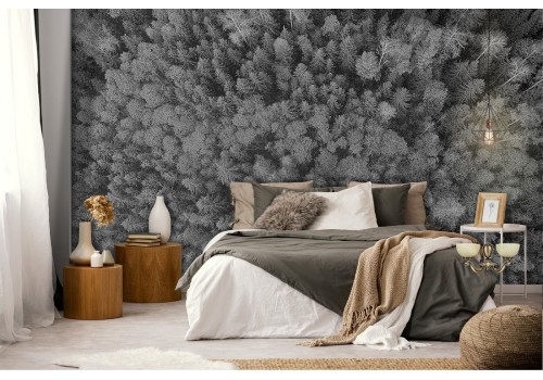 Wallpaper forest trees gray photography 2