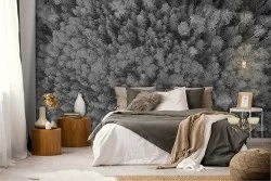 Carta da Parati alberi foresta grigio fotografia