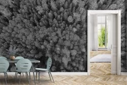 Carta da Parati Foreste e Alberi