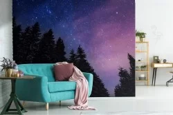 Carta da Parati bosco di notte cielo stellato natura