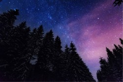 Carta da Parati Paesaggi e Natura Foreste e Alberi Universo