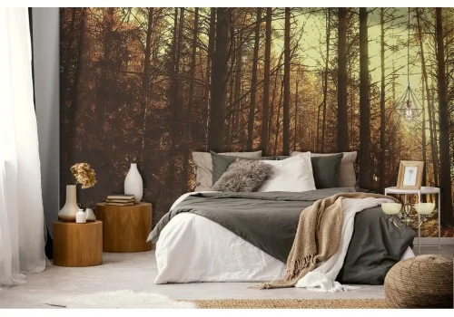 Forest trees woodland nature wallpaper 2