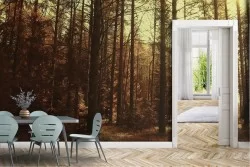 Carta da Parati Alberi Foreste e Alberi