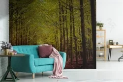 Carta da Parati sentiero nel bosco paesaggio natura