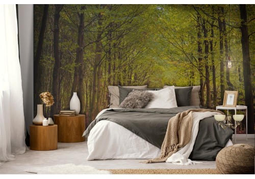 Wallpaper path in the forest nature landscape 2