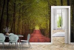 Carta da Parati Alberi Foreste e Alberi