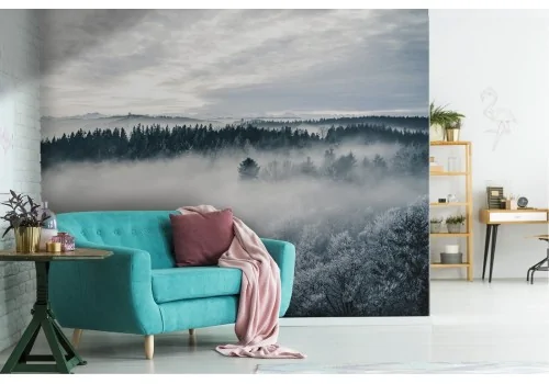 Forest in the fog nature photography wallpaper