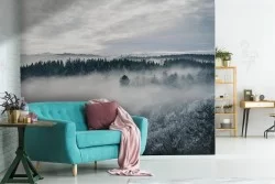 Forest in the fog nature photography wallpaper