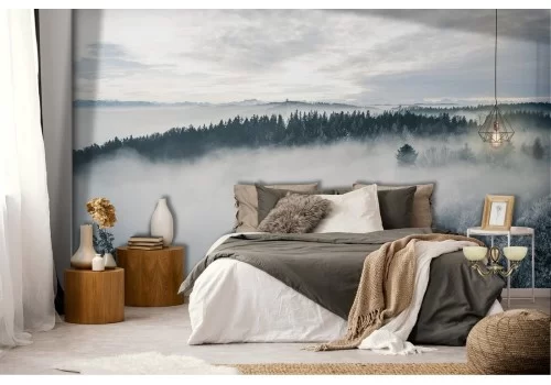 Carta da Parati foresta nella nebbia natura fotografia 2