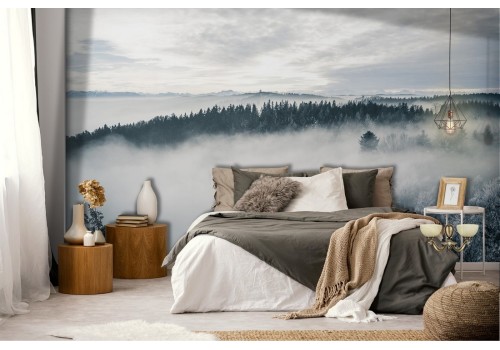 Forest in the fog nature photography wallpaper 2