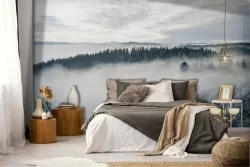 Forest in the fog nature photography wallpaper