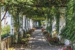 Carta da Parati Paesaggi e Natura Giardini