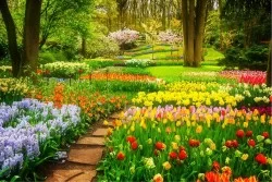 Carta da Parati Paesaggi e Natura Flora e Fauna Giardini Fiori