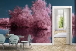 Wallpaper Rivers Waterfalls Lakes Forests and Modern Trees