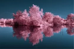 Wallpaper Designs and Styles Landscapes and Nature Rivers Waterfalls Lakes Forests and Trees Modern