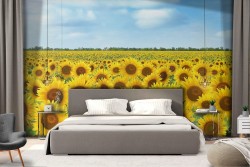 Sunflower field nature landscape wallpaper