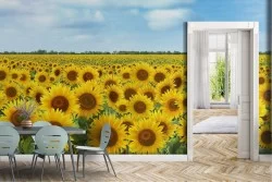 Carta da Parati Fiori Prati e colline