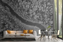 Carta da Parati fiume nel bosco paesaggio bianco e nero