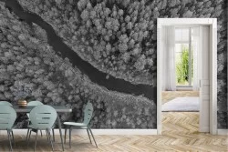Wallpaper Rivers Waterfalls Lakes Forests and Trees
