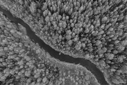 Carta da Parati Paesaggi e Natura Fiumi Cascate Laghi Foreste e Alberi