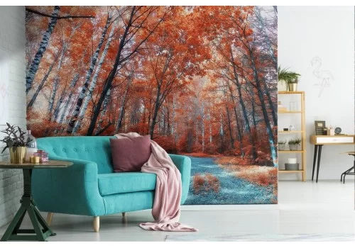 Carta da Parati sentiero nel bosco autunno paesaggio