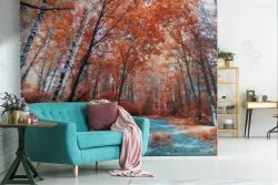 Carta da Parati sentiero nel bosco autunno paesaggio