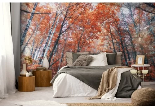 Carta da Parati sentiero nel bosco autunno paesaggio 2