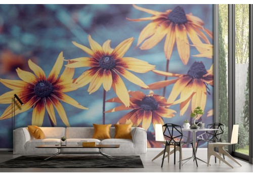 Wallpaper flowers garden landscape nature