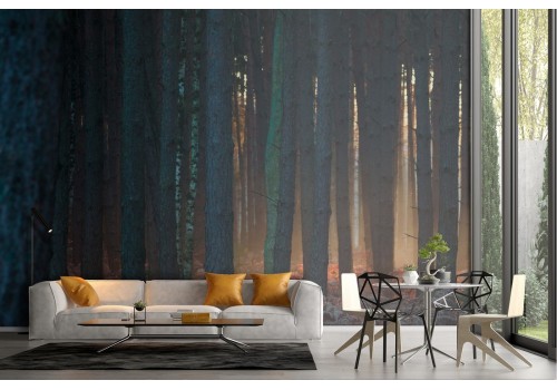 Wallpaper landscape forest nature trees