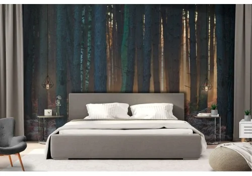 Wallpaper landscape forest nature trees 2